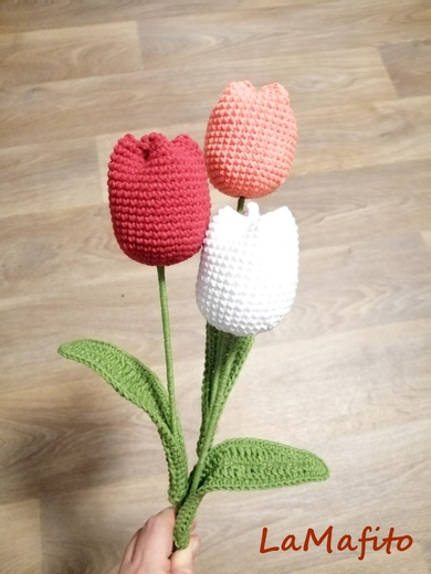 IMG_20260228_212041 AA.jpg