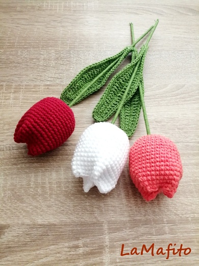 IMG_20260301_104541 AA.jpg