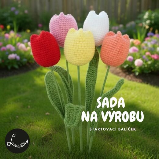 Kytice tulipánů-startovací balíček